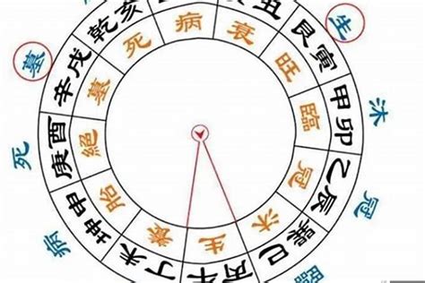 大運神煞|八字排盘大运神煞是什么意思 十大神煞详解——天玄网